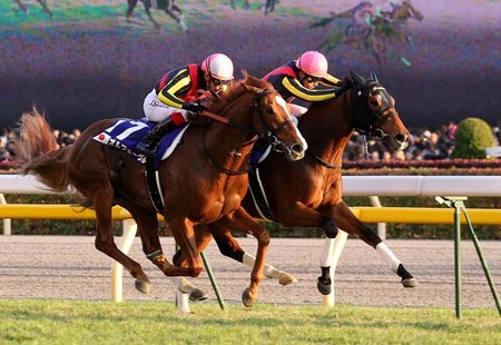 競馬　オルフェーヴルとジェンティルドンナ記念　引退レースの単勝馬券です